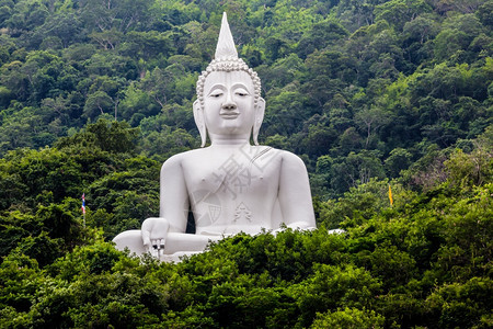 大佛白色在泰国的佛寺在山区和福里斯特克拉特图片