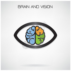 教育商业概念眼睛和大脑图片