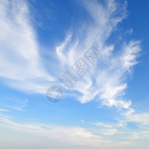 蓝色天空中的羽云图片