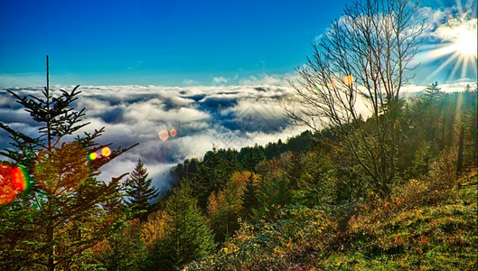 烟雾山的秋季g背景