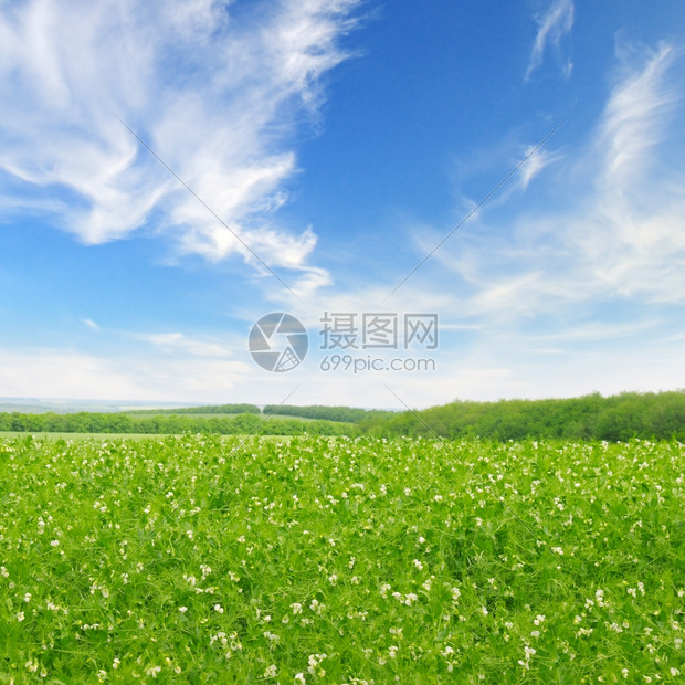 绿野和蓝天空有光云