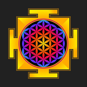 以黑色背景zxa为孤立位置的矢量带色活hindusm花朵扬特拉图解圆形图片