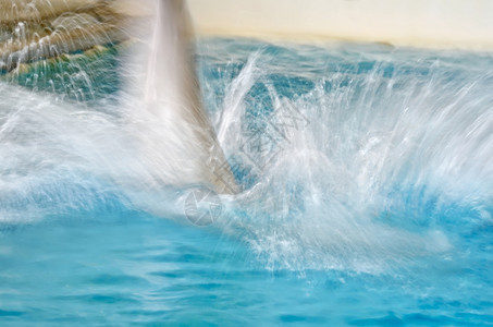 与海豚和蓝水模糊的抽象背景图片