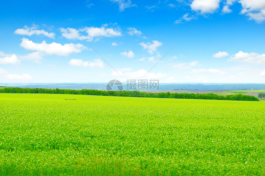 绿野和蓝天空有光云