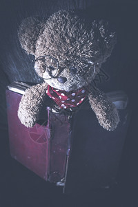 儿童泰迪熊与旧书图片