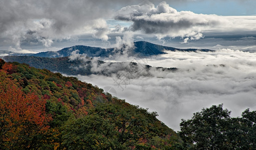 巨大的烟雾高山公园图片