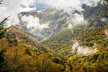 巨大的烟雾高山公园图片