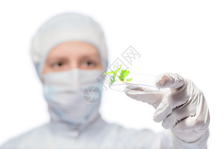 在生物学家特端手中的玻璃管里绿色植物图片