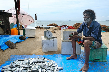 渔夫在鱼市出售海产品图片
