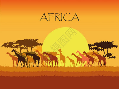 签名树热带草原上树和太阳的长颈鹿和的环形背面矢量树草和太阳设计图片