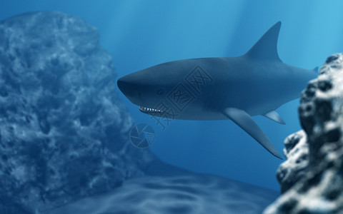 3d深海鲨鱼潜水图片