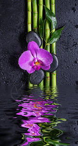 含有黑色巴萨按摩石粉红兰花和几条幸运竹茎黑色底有水滴的黑竹子在小浪水面反映的上黑底有滴背景图片