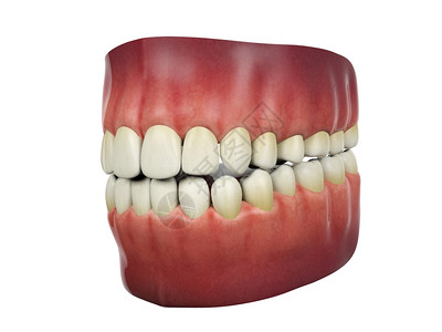 白背景上分离的人类牙齿3D图片