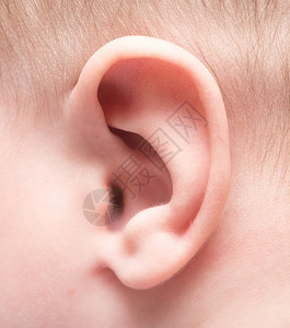 婴儿耳朵背景图片