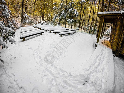 北卡罗利纳南山州公园冬季场景图片