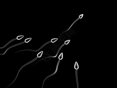 3d插图精子细胞针对黑背景的竞争图片