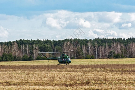 milarusmink1504217mi2直升机降落在林带附近的田地上图片