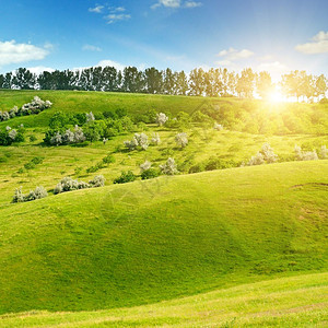 山丘绿地和蓝天上的太阳图片