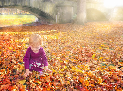 快乐的小女孩享受着落下的多彩叶子伸展以抓住它们在温暖的秋天阳光下背景图片