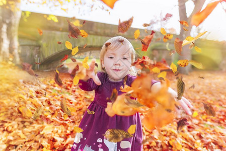 儿童享受秋天玩着落的叶子将扔在相机上背景图片