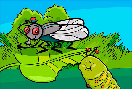 苍蝇和毛虫漫画插图图片