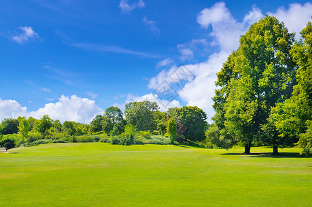公园绿草和蓝天背景图片