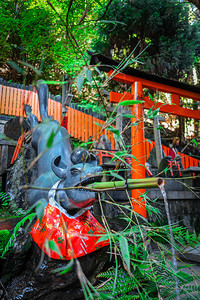 狐狸净化喷泉在fushimiinaritaishatorii神社京都日本狐狸净化喷泉在fushimiinaritaisha京都日图片