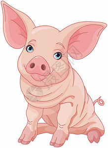 可爱猪插图图片