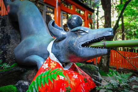 狐狸净化喷泉在fushimiinaritaishatorii神社京都日本狐狸净化喷泉在fushimiinaritaisha京都日图片