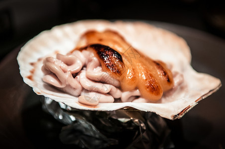 贝壳上的日本干酪花生烤鱼精子酱配奶酪鸡尾菜图片