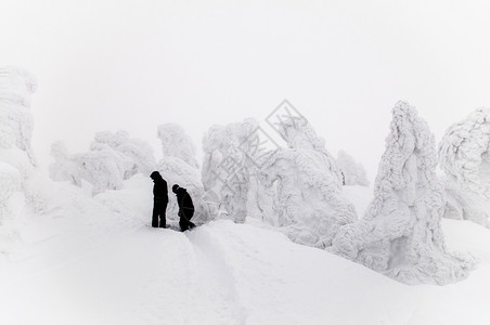 东北八大怪观光客在雪怪树试验中行走在哈科达山阿奥莫里雅潘上雪覆盖松树背景