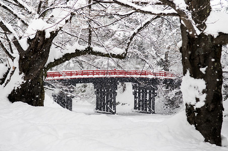 冬下雪时龙崎城堡的旧红木桥秋天阿奥莫里托霍库日本图片