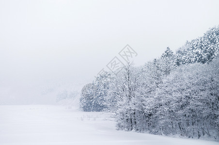 白雪覆盖了冬季的阿奥莫里岛风景和森林日本冬图片