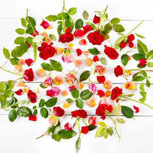 花朵组成白色背景上隔开的红玫瑰平坦的躺下顶部视图图片