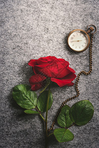 浪漫的画面美丽一朵红玫瑰和古董的口袋钟在一个复古的布料背景图片