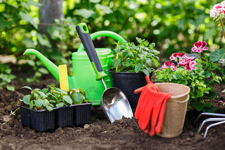 在后院种植的园艺工具和花盆中的在后院种植的园艺工具和花盆中的背景