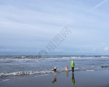 北荷兰部杜特奇省海滨的男孩和狗图片