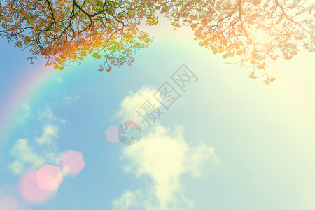 青蓝天空中的日本樱花和彩虹有云美丽的自然背景图片