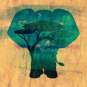 色彩多的夜景非洲风树木和大象的轮廓纸质纹身图片
