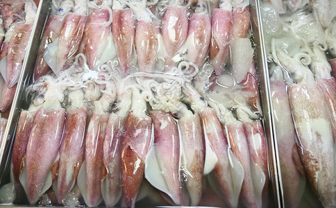 市场上原鱿鱼堆积在市场上健康高清图片素材