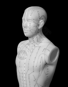 人类的医学针刺模型人类黑色背景的医学针刺模型图片