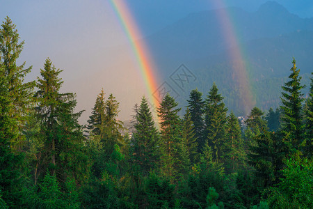 一种美丽的自然现象两条彩虹对着背地一种美丽的自然现象两条彩虹对着雨后森林覆盖的山区背景图片