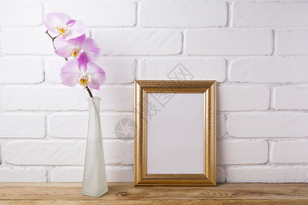 在优雅的玻璃花瓶中用粉红兰花的鲜色兰花制成的模型用于展示艺术品的空框架现代艺术的模板由粉红兰花制成的彩色模型图片