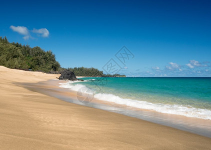 在平静的一天哈瓦伊群岛kaui的lmhi海滩金色沙子和温暖的绿海洋图片