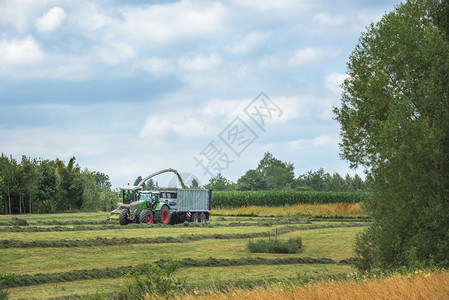 农用车辆收集和切除被割草将它转移到一辆拖拉机上在德国schwabi大厅附近的一个农田上图片