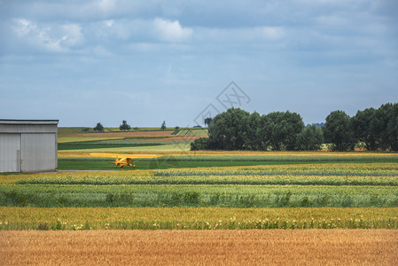 黄色飞机在农作物上空飞行图片