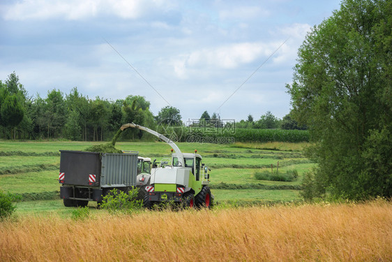 在德国badenwurtmbg地区使用自行推进的饲料采草和装载拖车进行农业活动图片