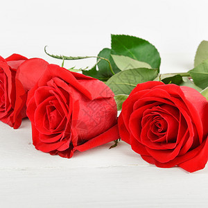 白色木制背景上美丽的红玫瑰平整躺下顶层视野图片