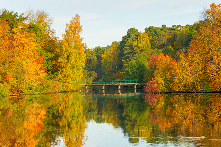 风景湖泊秋季森林和日落时桥图片