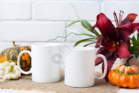 两杯白色咖啡装感恩节橙色南瓜和红百合空杯装作设计宣传品图片